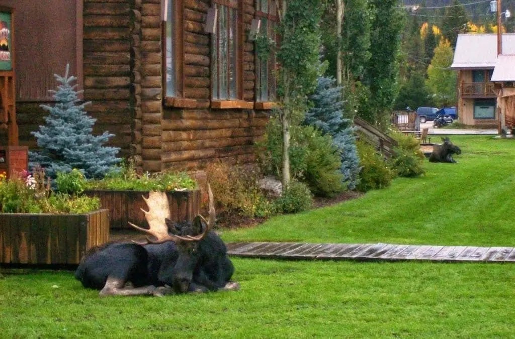 Elk Rut, Halloween Festivities, Hiking, Fishing & More!