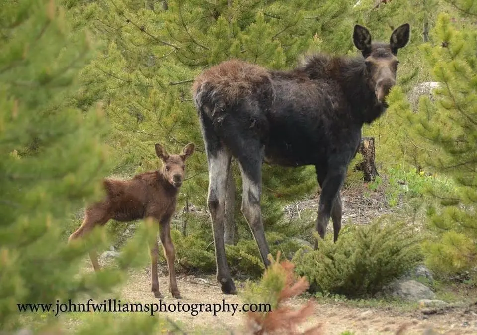 Nordic Skiing, Ice Fishing, Channel Fishing, Snowshoeing and Snowmobiling!