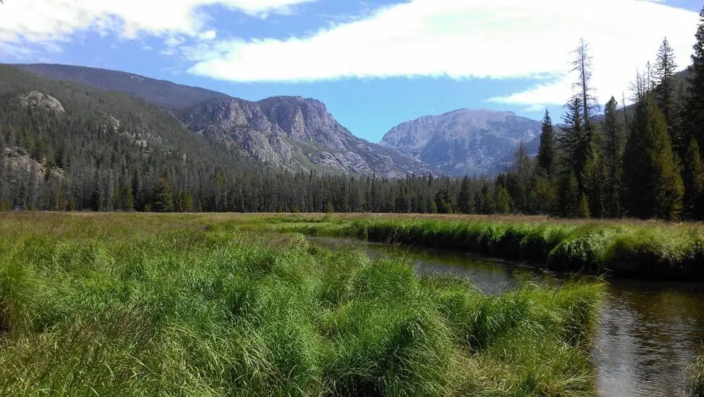 Meadow Above Adams Falls