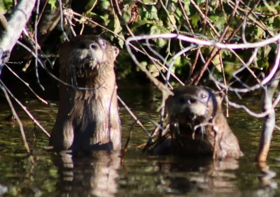 Explore the Colorado Rocky Mountains