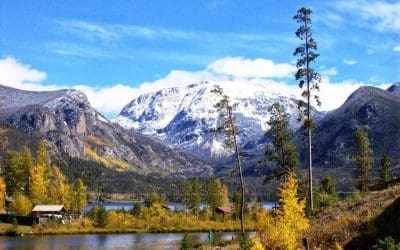 Have you heard the haunting bugle of an elk?