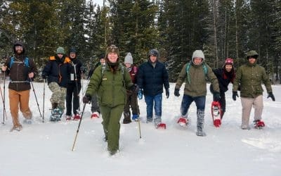 How to Snowshoe: 4 Techniques for Beginners